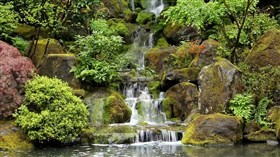 Zen Garden Falls