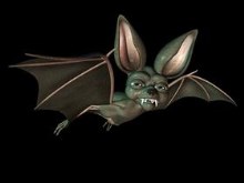 Toonanimal Bat