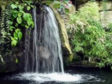 flowing waterfall pond