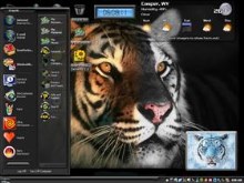 Two sides of a tiger