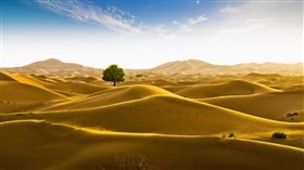 Rub' al Khali Desert