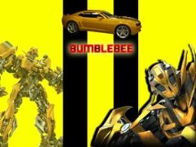 Bumble Bee