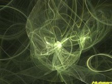 Organic Fusion