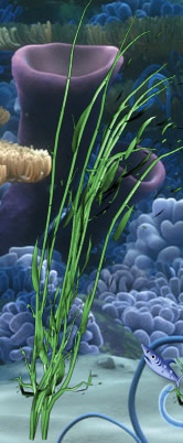 Grass10