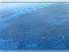 Antigua Blue #3