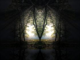 thy_forest