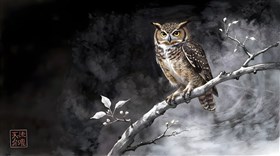  a small owl