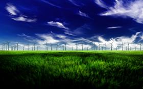 Calm Fields 3