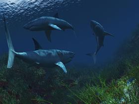 Deep Blues