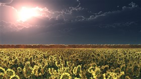 Sunny & Cloudy