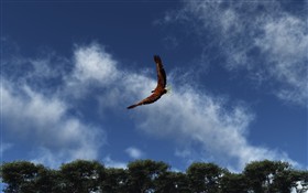 Soaring