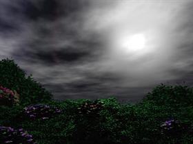 Storm Coming