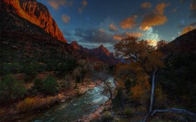 Watchman View