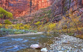 Zion Fall II