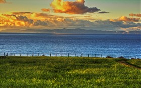 Ocean View