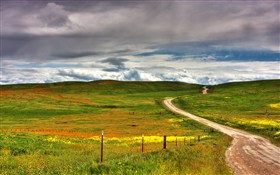 Long Winding Road II