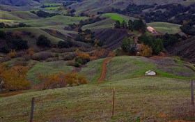 Hidden Homestead