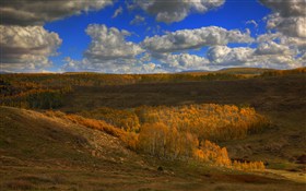 High Country Fall