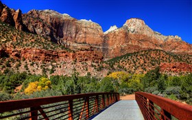 Zion National Park