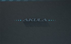 Akula 2
