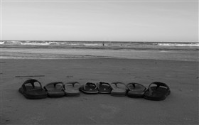 Vacation