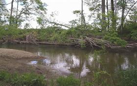 rocky bed river