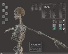 skeleton desk