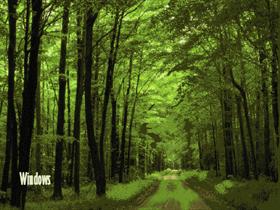 Country Roads