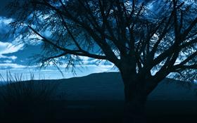 NightFall