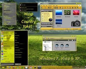 Wasp