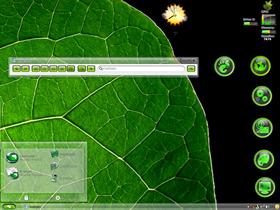 Big Leaf