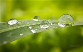 Drop