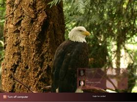 Eagle has Landed
