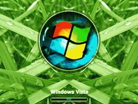 Vista Symmetric Leafs 9