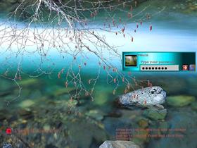 Forest Water