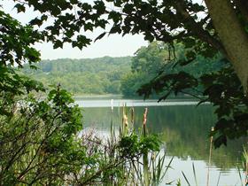 Bassin' Lake