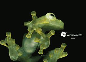 Frog in the Vista Machine!