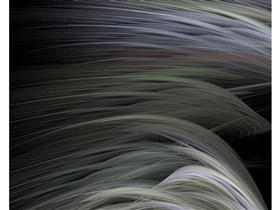 Plumage&PlumageBright