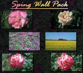 Spring Wall Pack