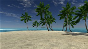 Palms