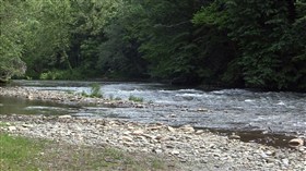 Up The Creek
