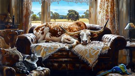 sunny afternoon siesta on the old couch