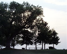 crystal tree