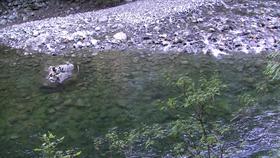 Above the Stream