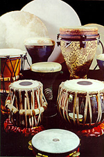 Jungle Drums
