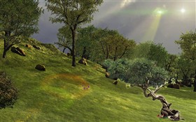Tree of Conscience LSV