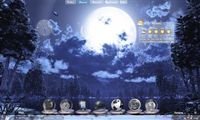 Winter Moon