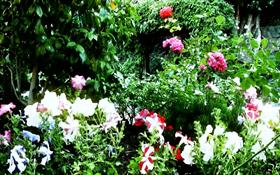 Springtime breeze