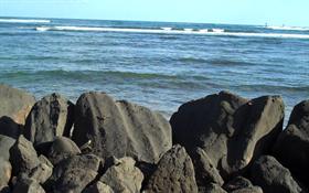 The Rocky Beach