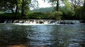 Forest Falls